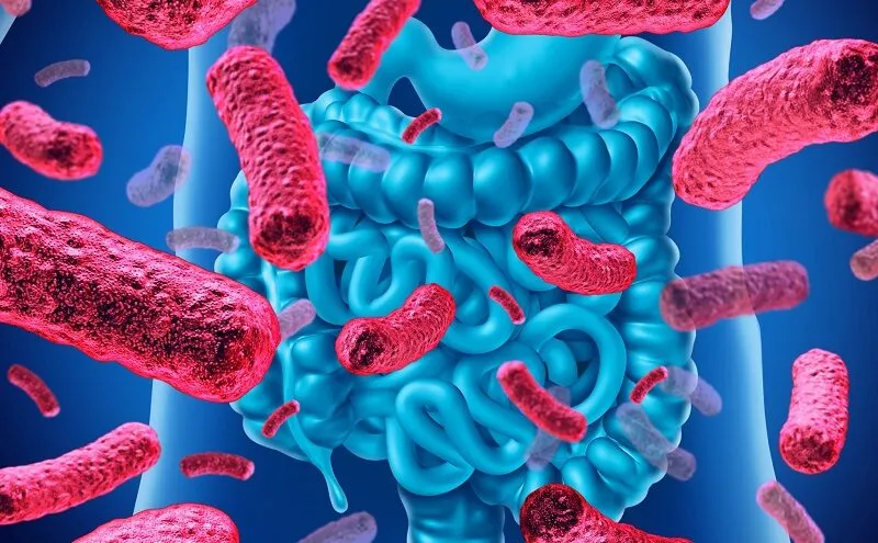 Bào tử lợi khuẩn là gì - Bí quyết vàng cho hệ tiêu hóa khỏe