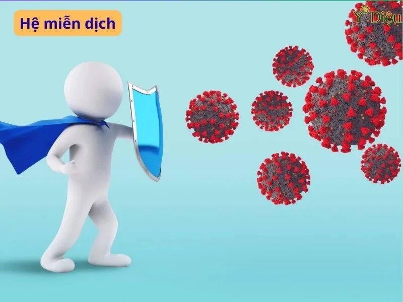 Hệ miễn dịch là gì? Bí quyết tăng sức đề kháng khỏe mạnh