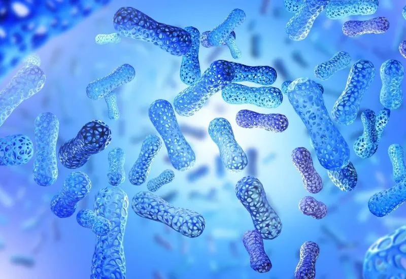 Bí quyết bổ sung lợi khuẩn cho hệ tiêu hóa khỏe mạnh