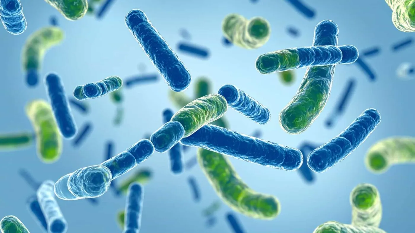 Men tiêu hóa là gì? Cơ chế hoạt động ra sao?