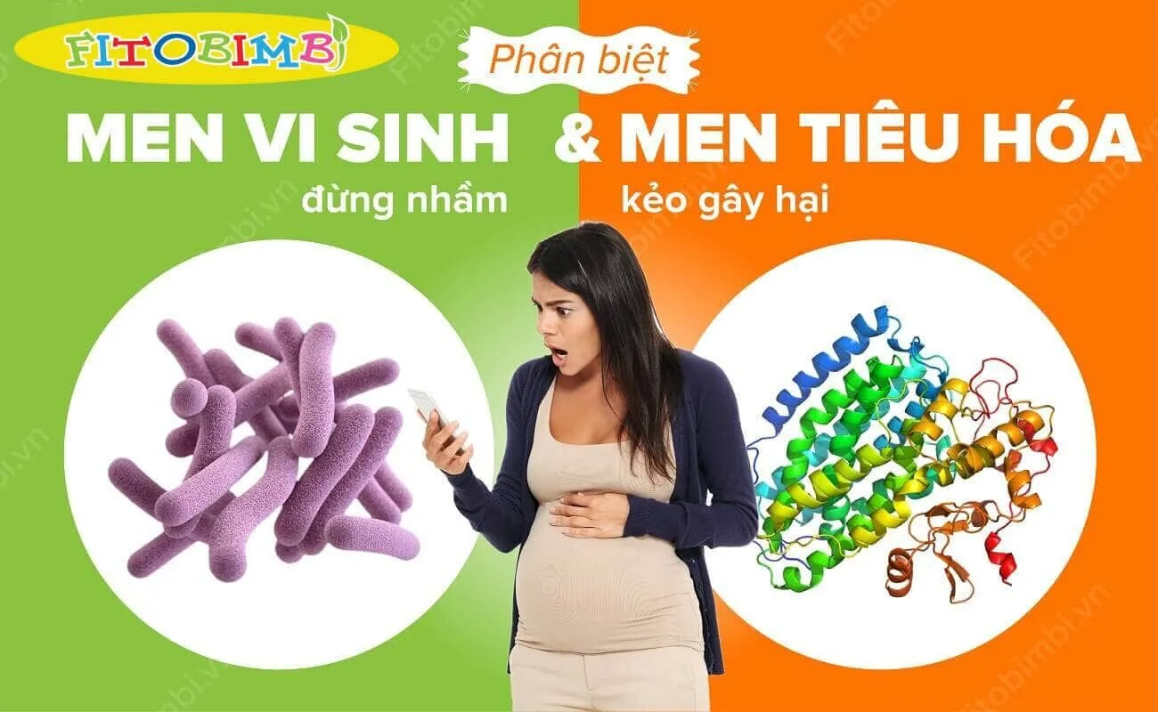 Men vi sinh và men tiêu hóa khác nhau thế nào?
