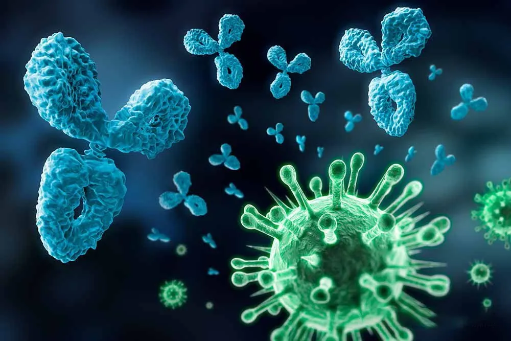 Vi khuẩn là gì? Hé lộ bí mật sinh vật tí hon quanh ta